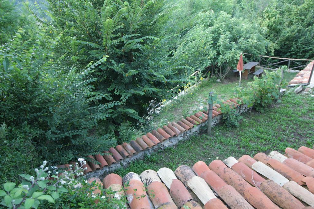 Casa Vacanze Antico Poggio Poggio San Giovanni 外观 照片